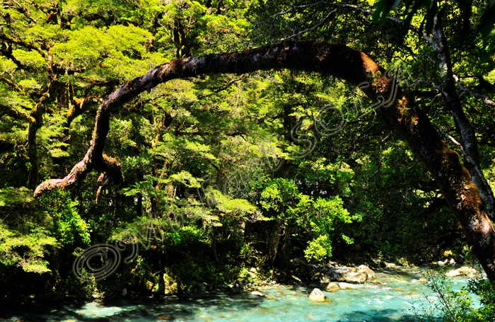 © Smike Photography by Michael Sola - All Rights Reserved
