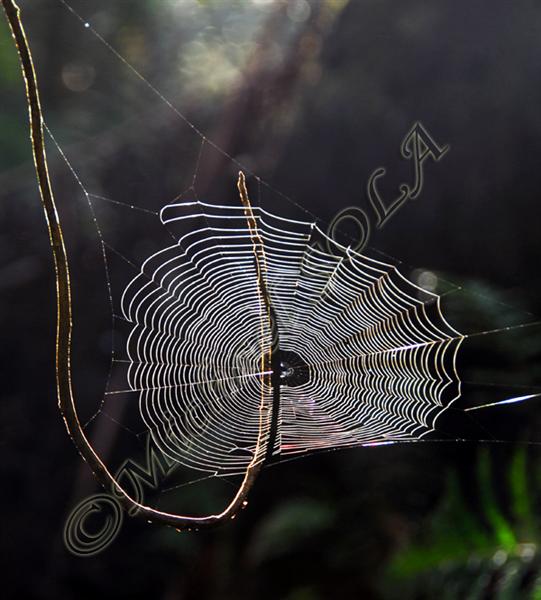 © Smike Photography by Michael Sola - All Rights Reserved