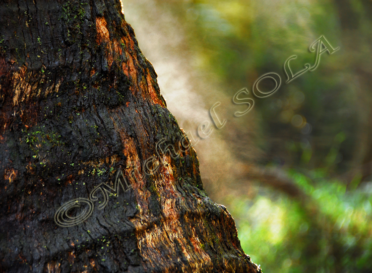 © Smike Photography by Michael Sola - All Rights Reserved