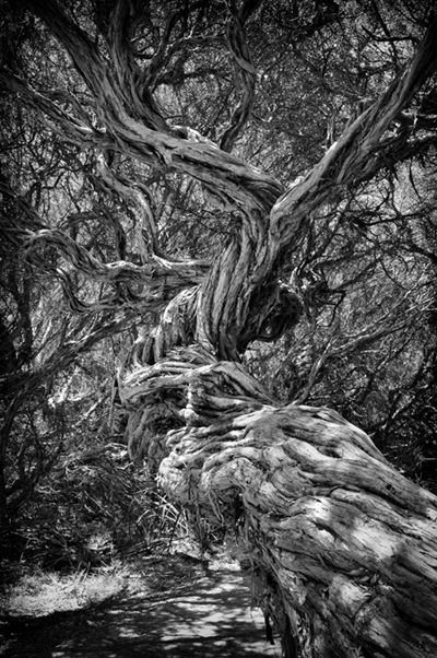 © Smike Photography by Michael Sola - All Rights Reserved